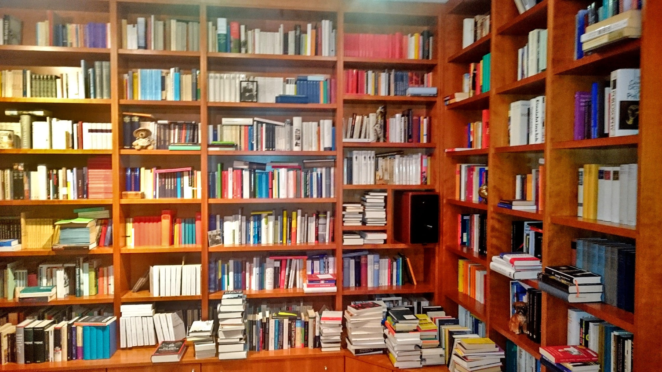Bibliothek Wohnzimmer Januar 2017